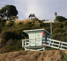 bay watch