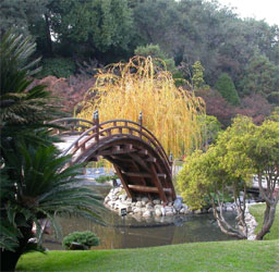 pont